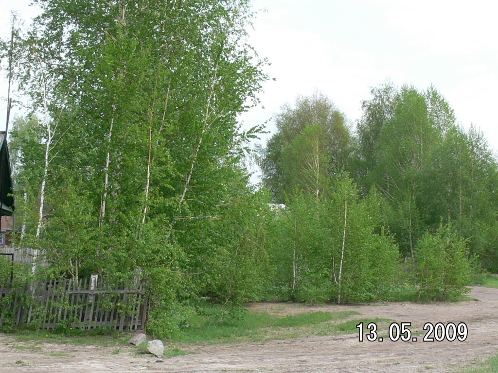 13 мая 2009