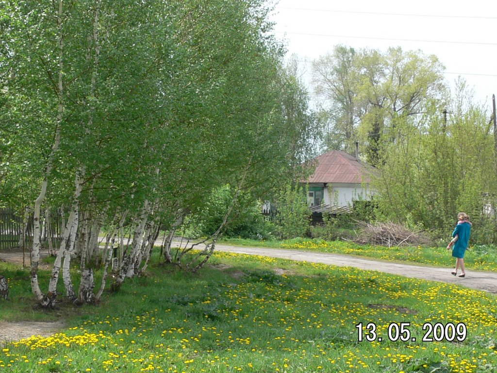 Май 2009г.