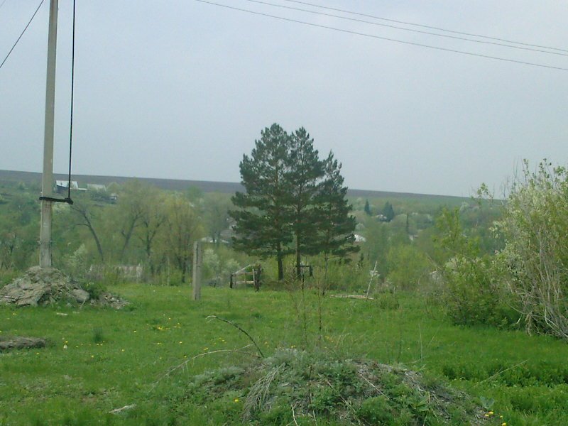 Май 2009г.