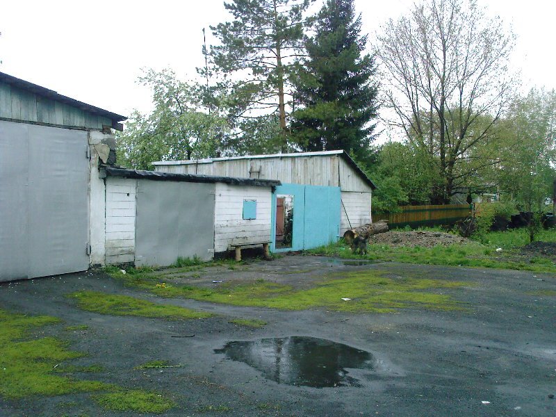 ул.Театральная 17.  Май 2009г.