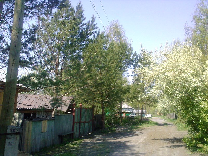 ул.Луговая , май 2009.