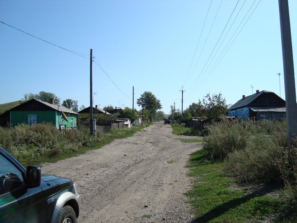 с. Перевальное, ул. Березовская