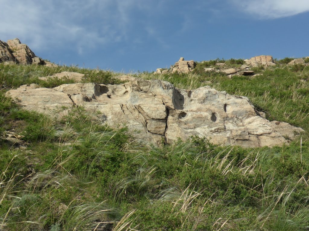 Лунки