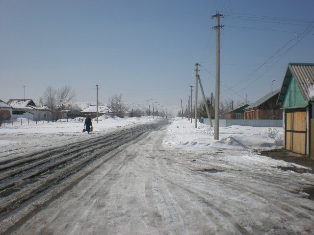 ZAYSAN