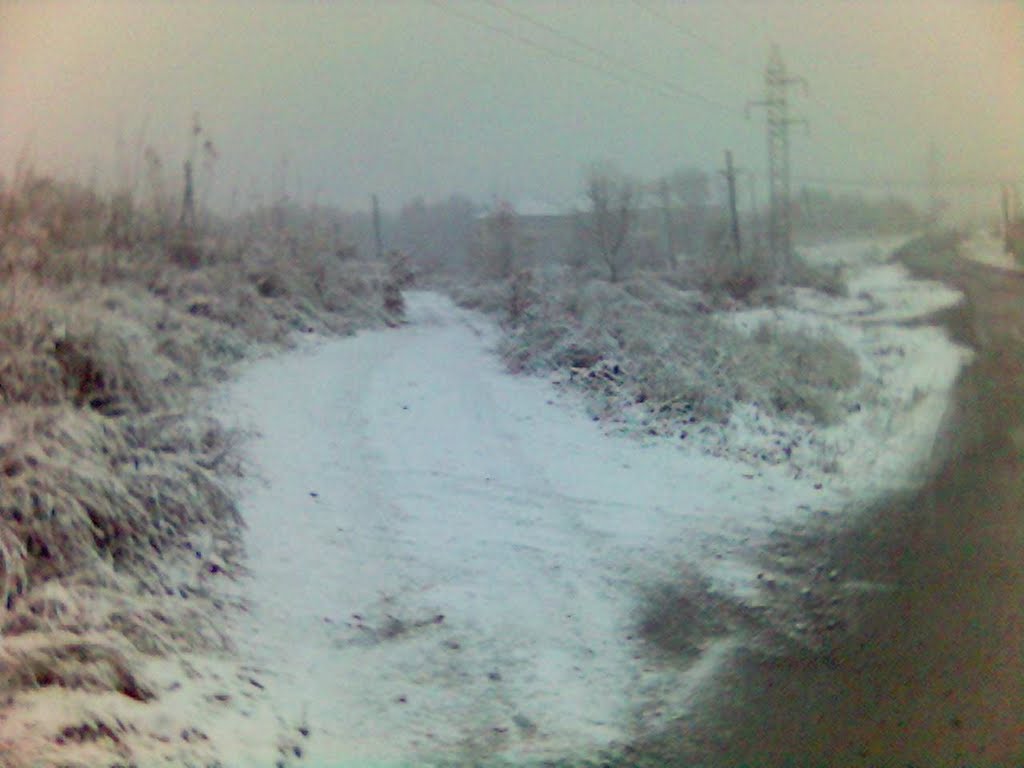 улица ломоносова