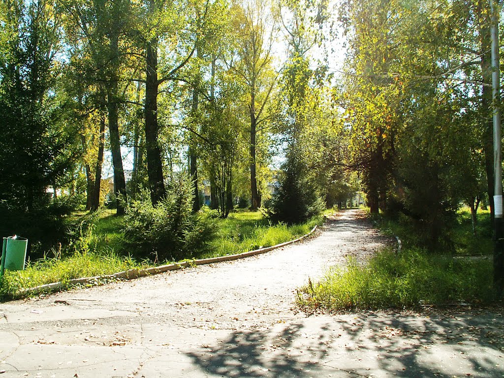 Осенним светом 2006 залит парк