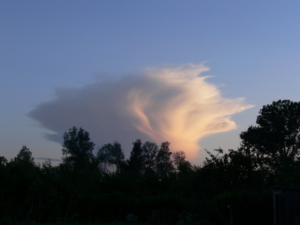 Курчум, лето 2007 г