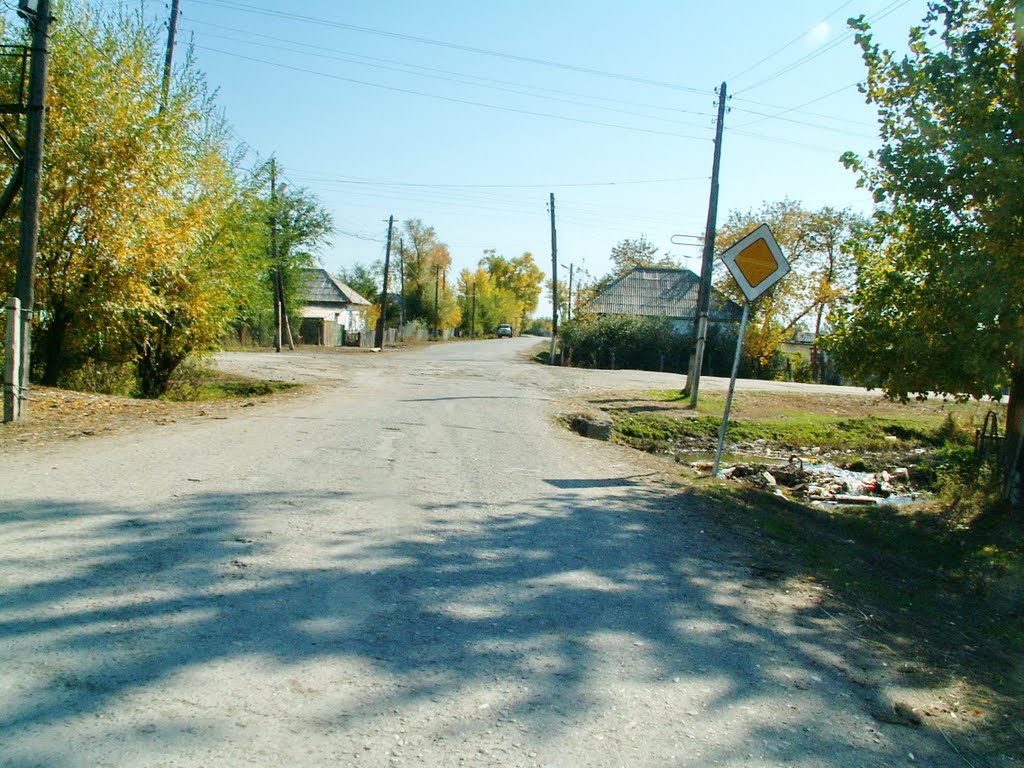 Столько Солнца ..., и это - осень