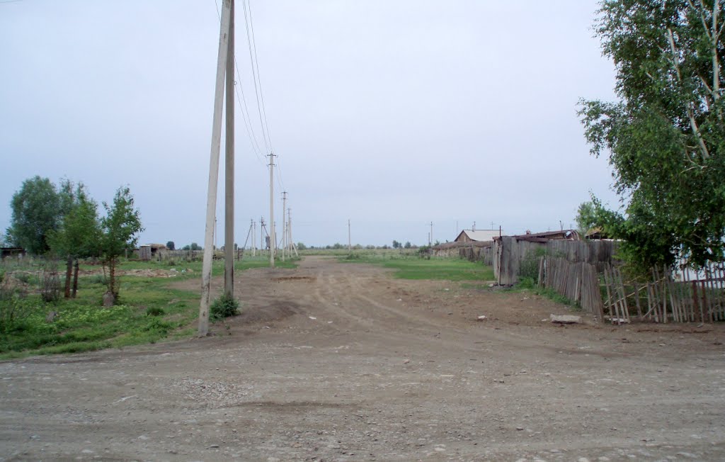 Курчум ул. Мира