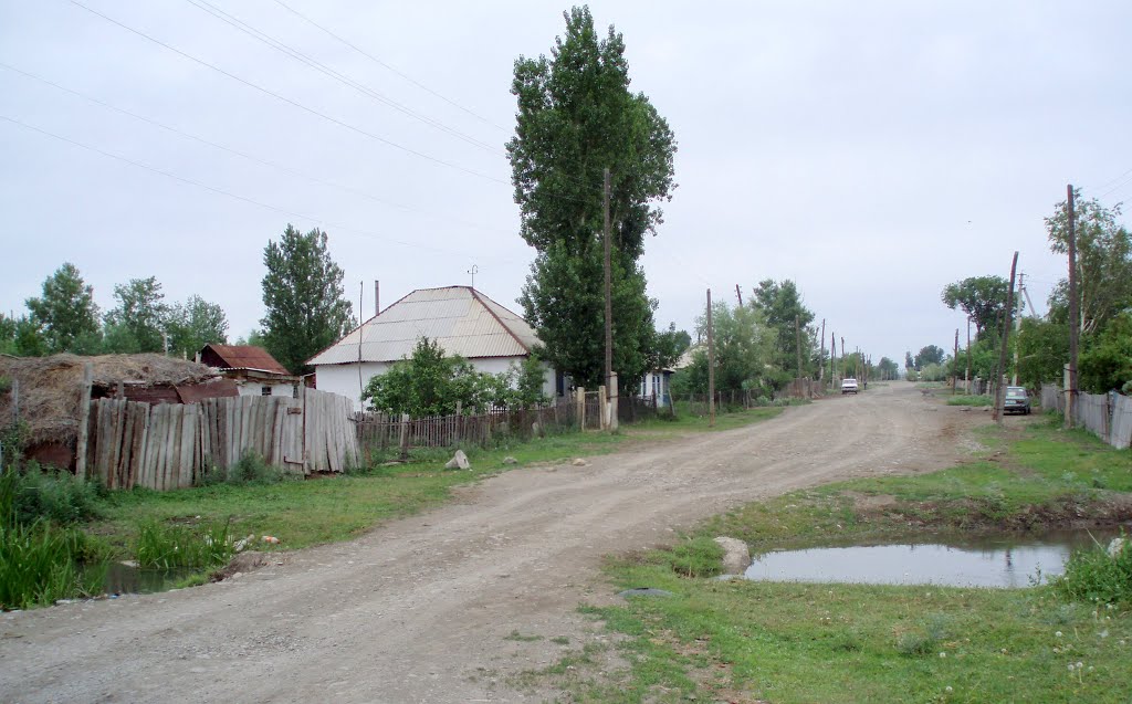 Курчум,ул.Мира