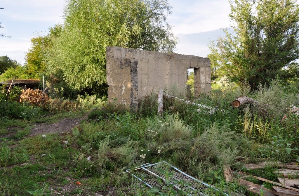 Остатки школы№2 (часть стены гаража)