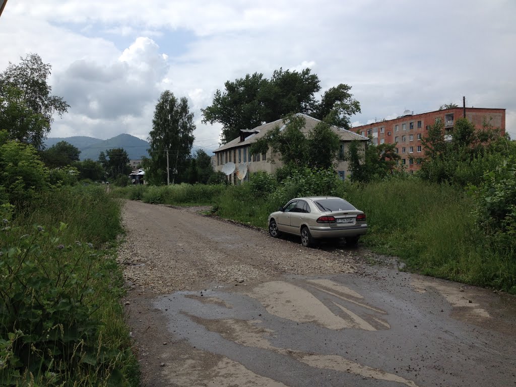 г. Риддер, июль 2014 года, ул. Крылова