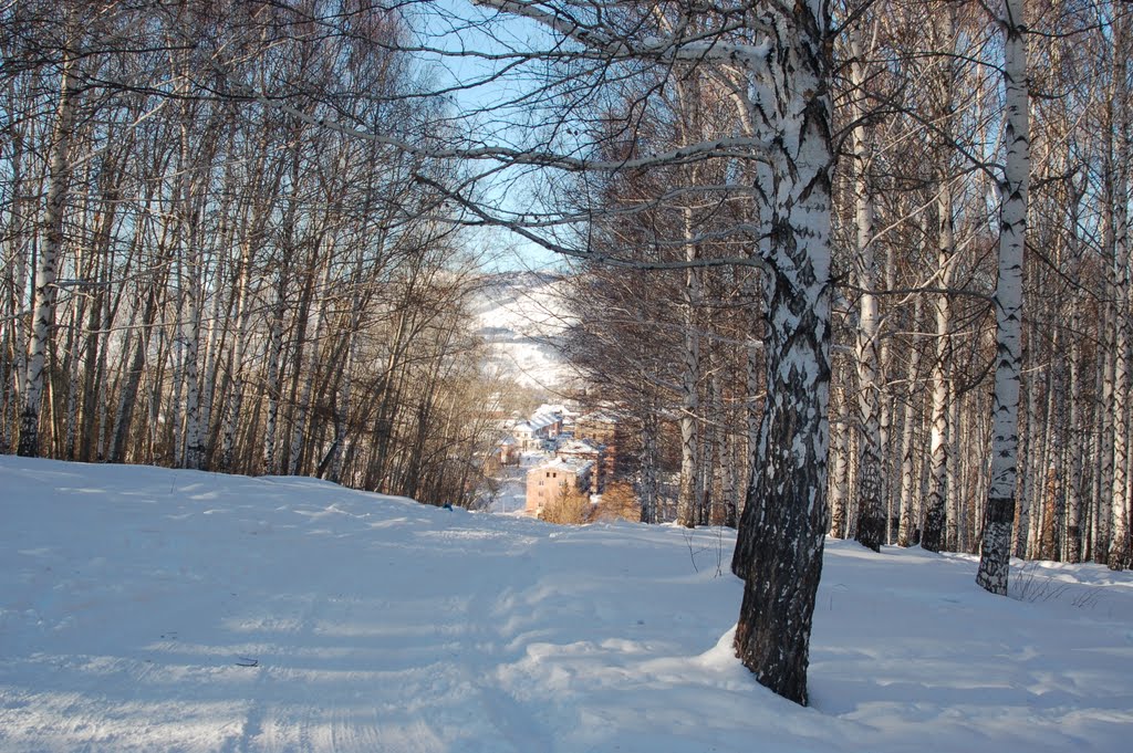 Риддер - Спуск к улице Гагарина
