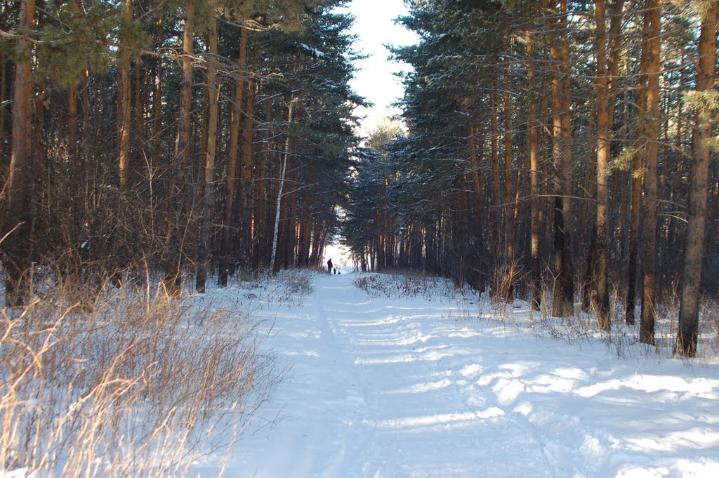 Риддер - Спуск к мемориалу участникам ВОВ