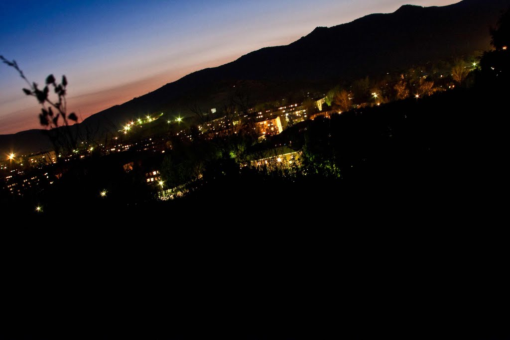 Ночной Риддер