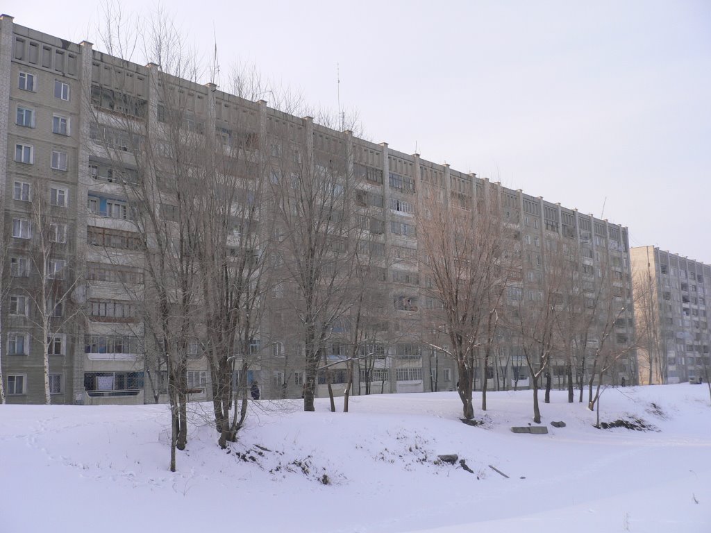 текстильщиков 12