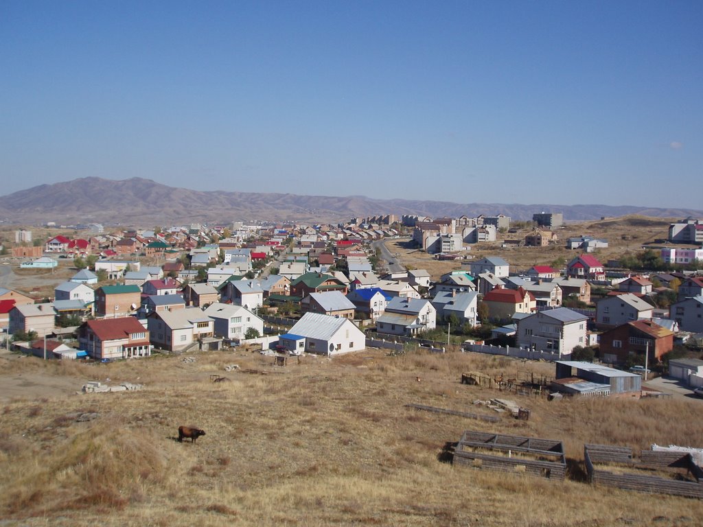 2007/10/05 settlement Metallurg