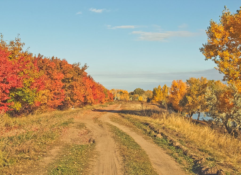 Золотая осень