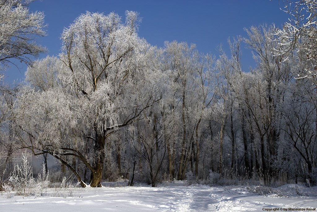 snow and frost