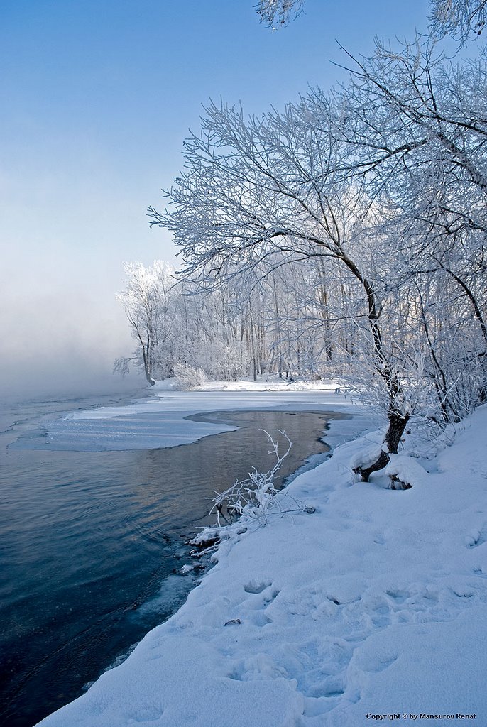 snow tree on river border