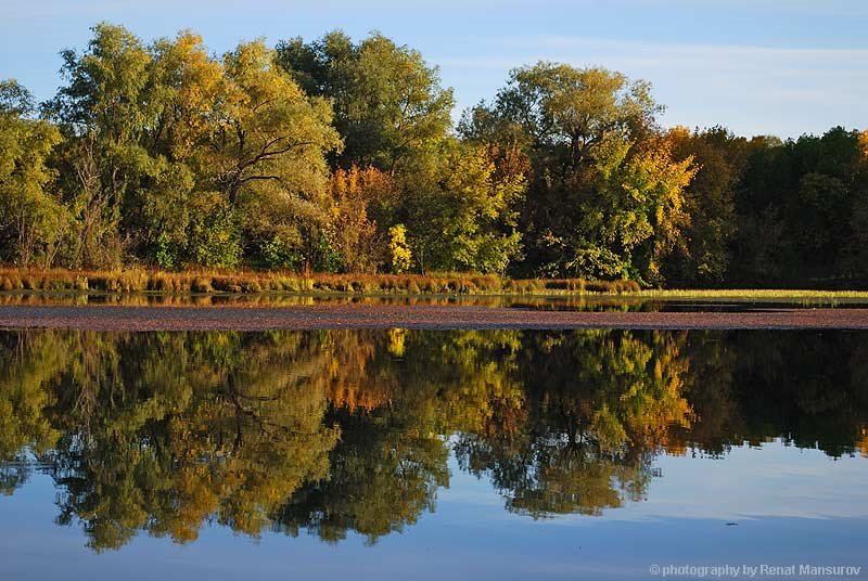 reflection