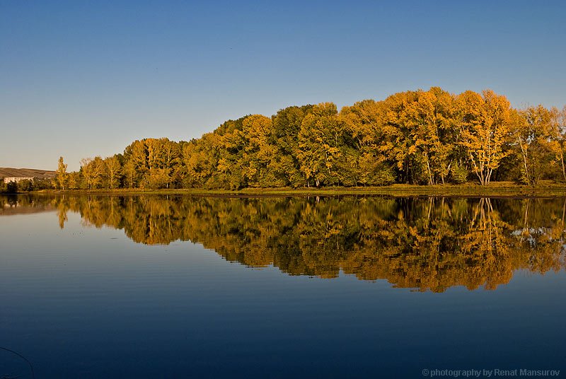 autumn reflection