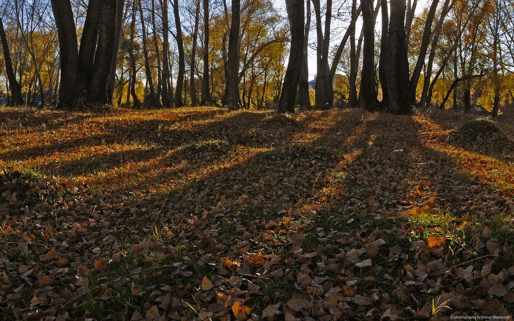 light and shadow