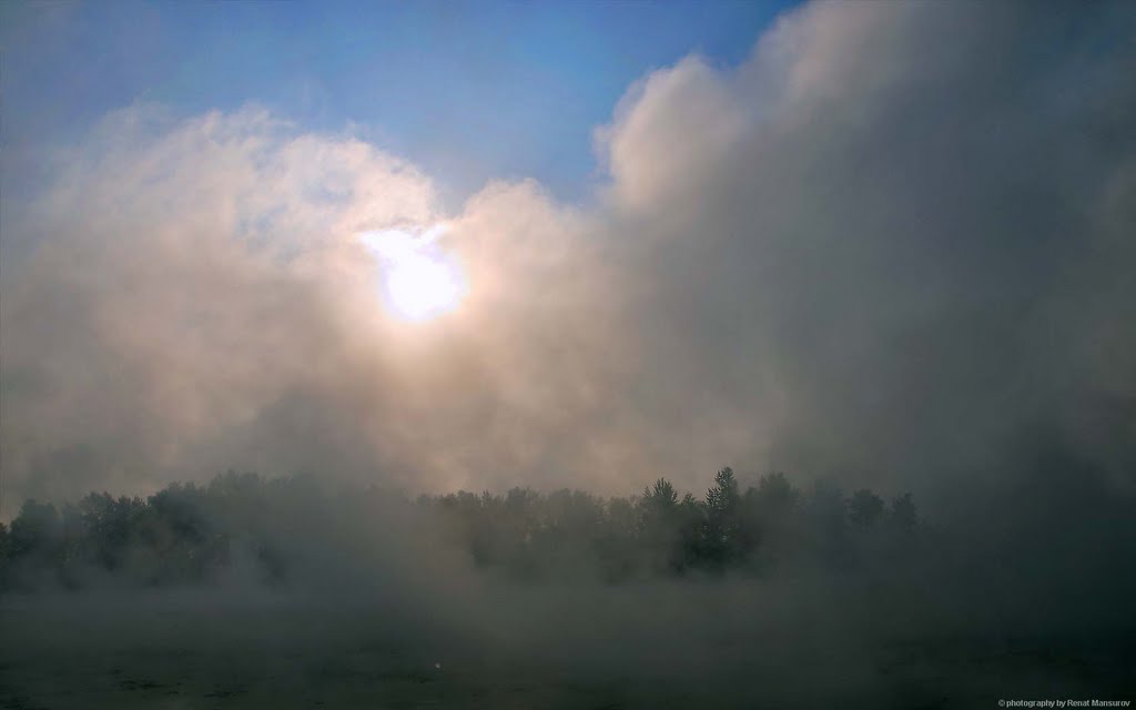 Туман  (Mist)