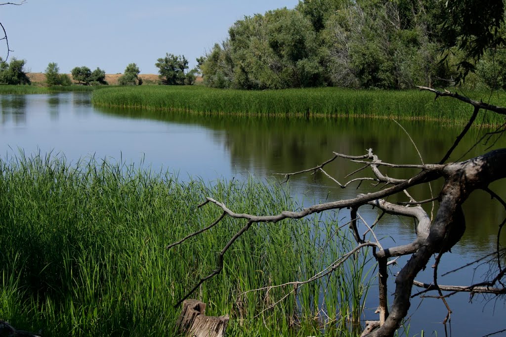 Река Урал.