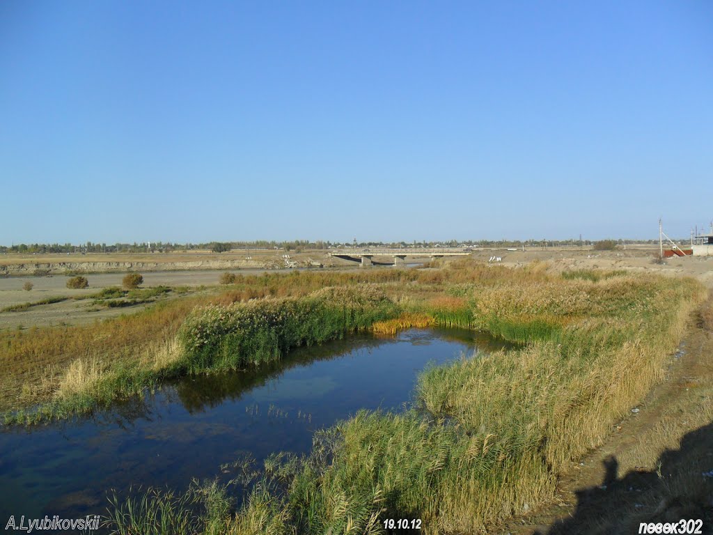 Вид  от  старицы  на  мост  и  Новотроицкое(Толе Би).