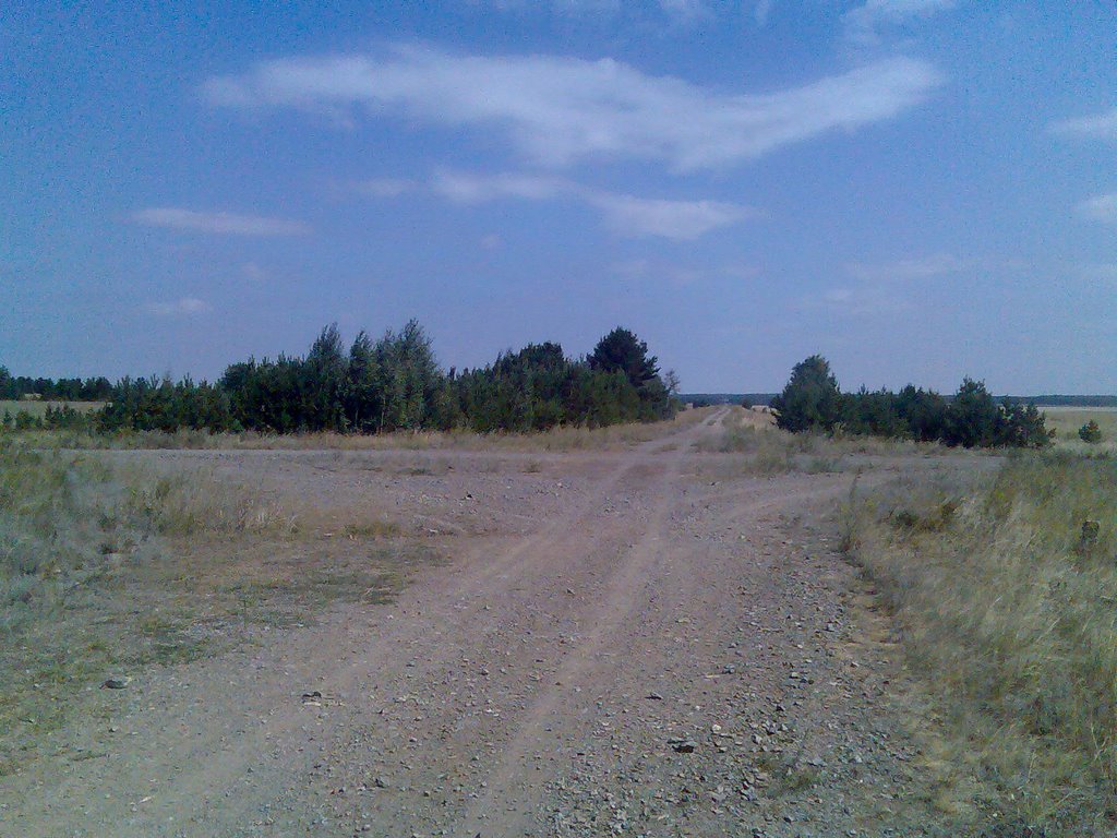 Перекрёсток дорог