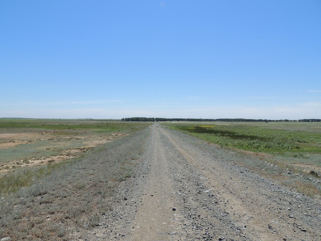 Position area Kartali