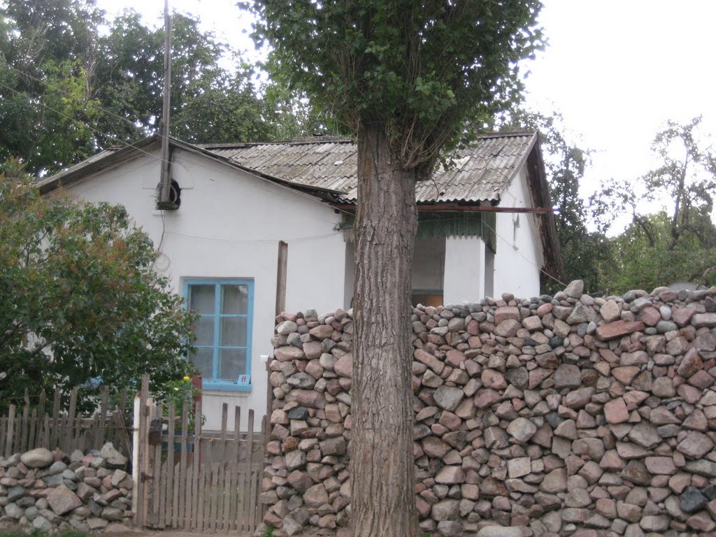 дом Кудриных
