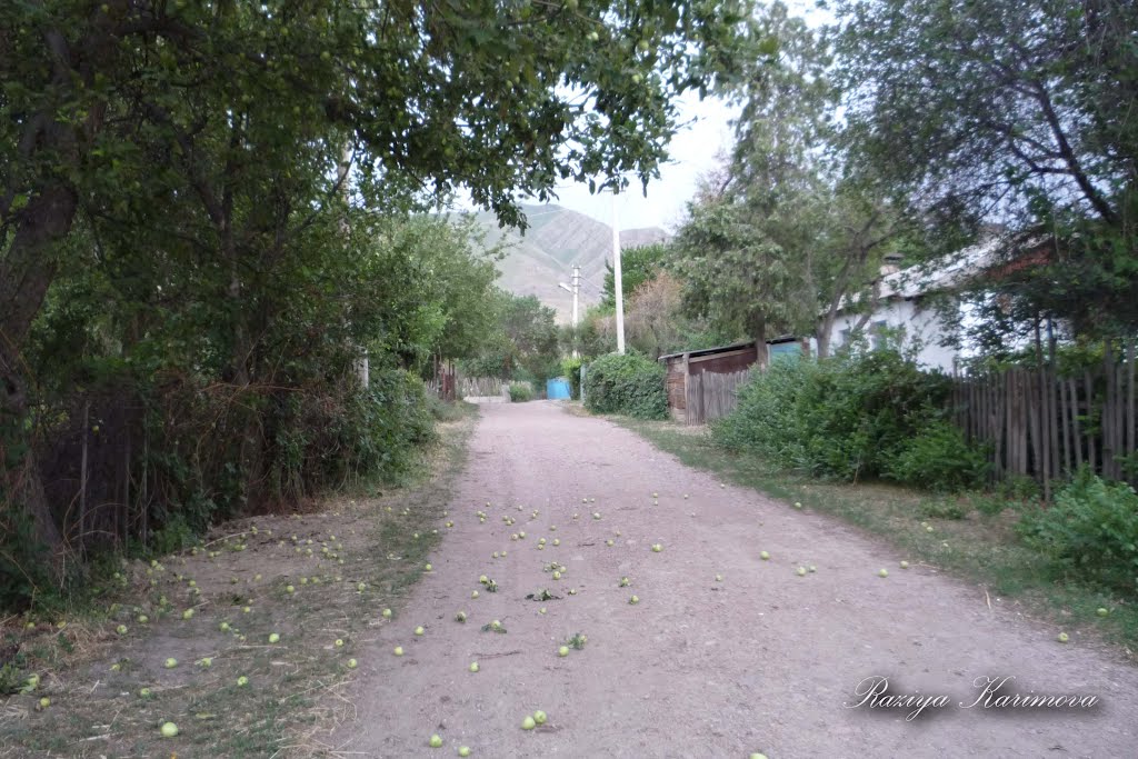 ул.Больничная