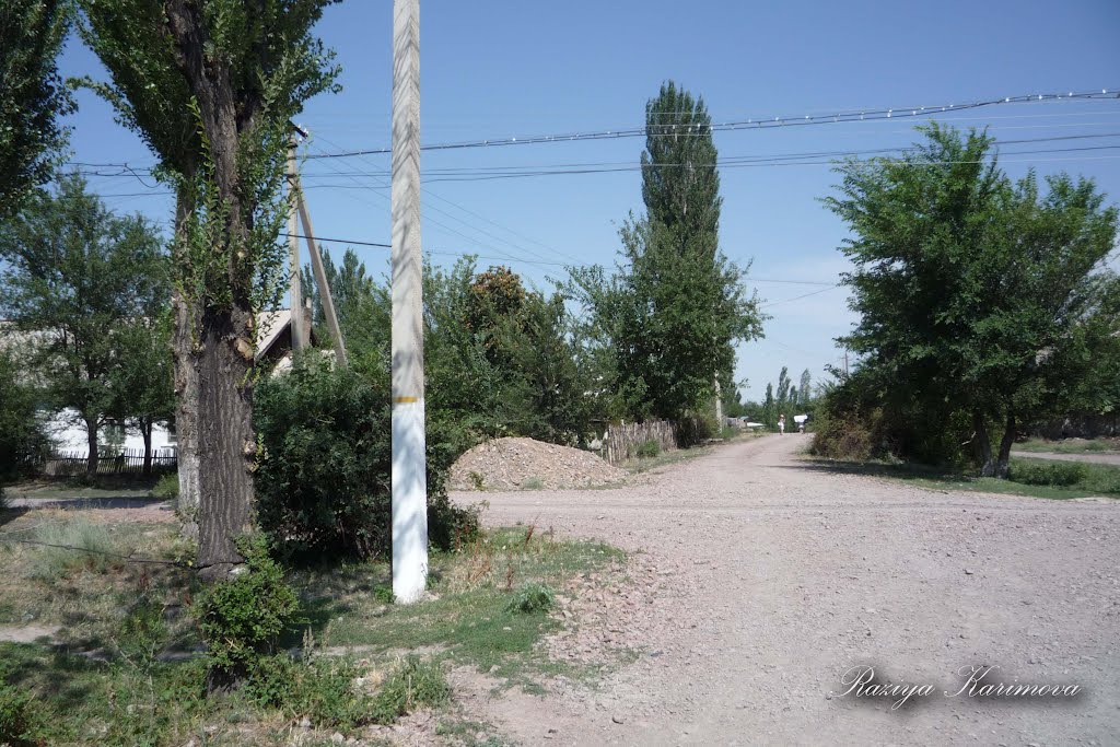 Пересечение у.Центральная и ул.Ленина