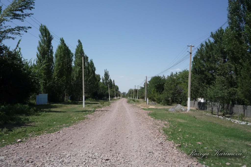 ул. 40 лет победы