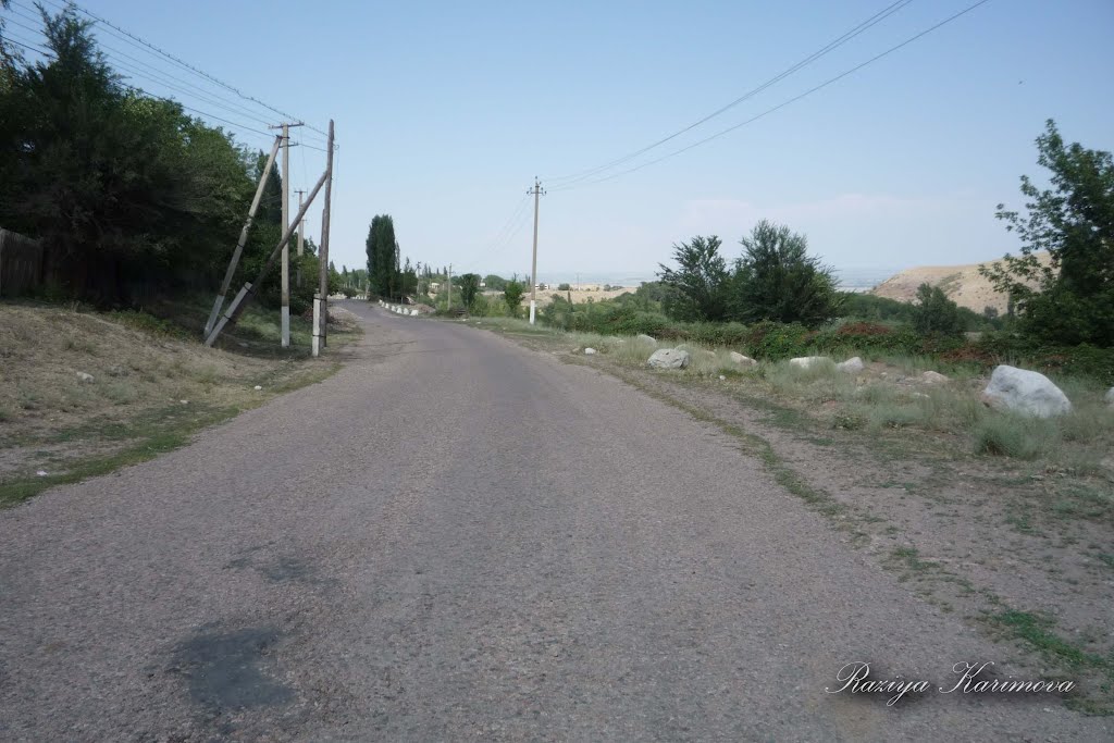 ул.Дорожная