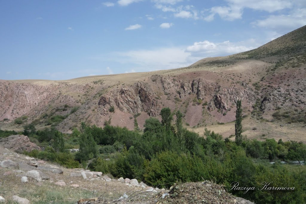 Вид с Асфальта