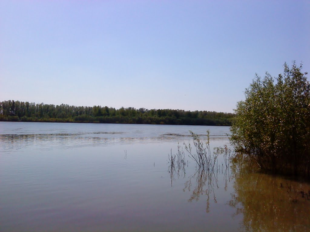 с. Железинка, берег Иртыша.