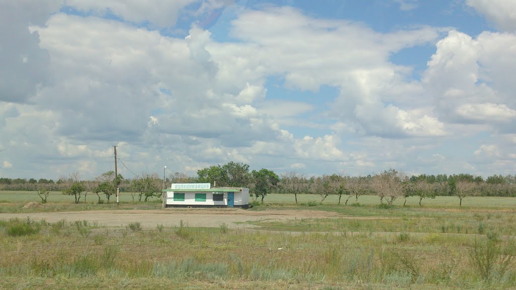 Вулканизация