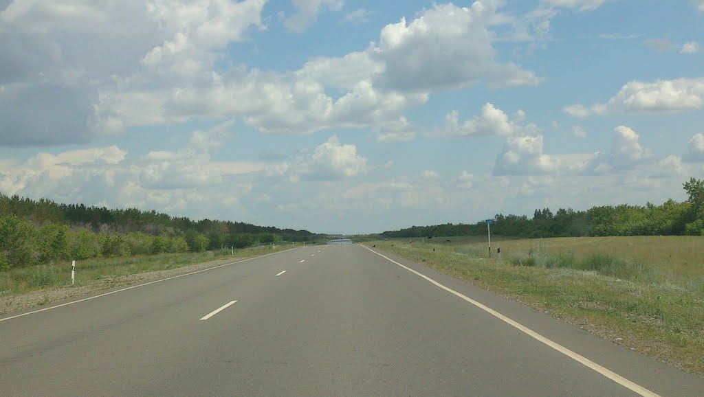 229 км