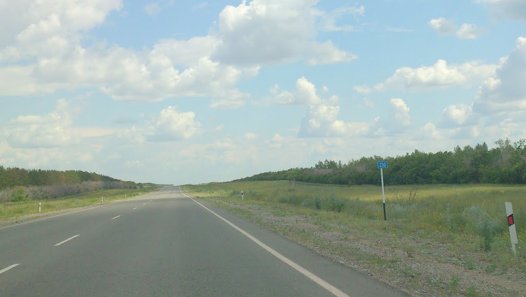 230 км