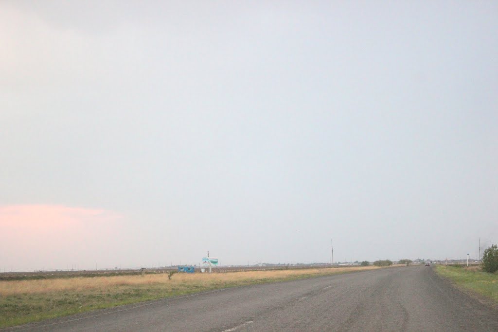 2014_05_16 стела