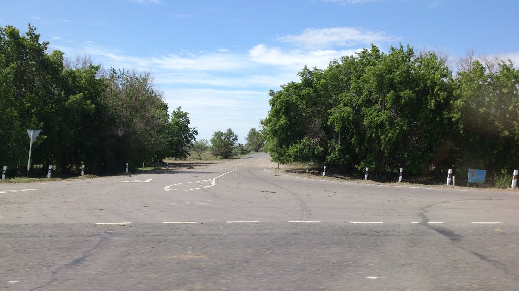 дорога в поселок