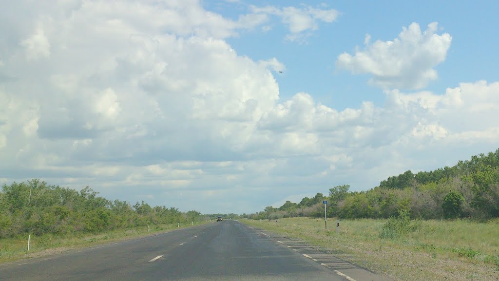 290 км