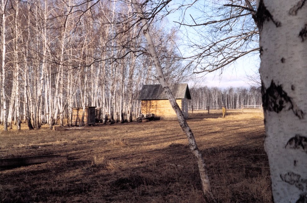 Le cabanon à lorée de la forêt