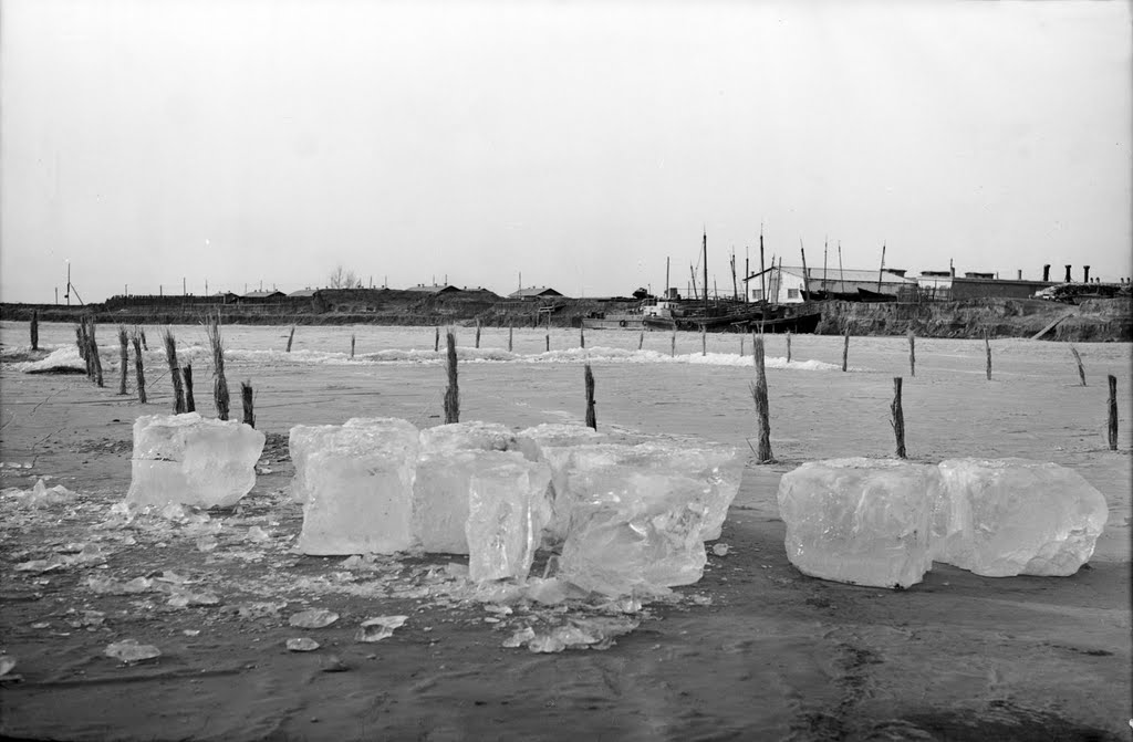 Заготовка льда на Урале в хранилища ледники - 1955 год.