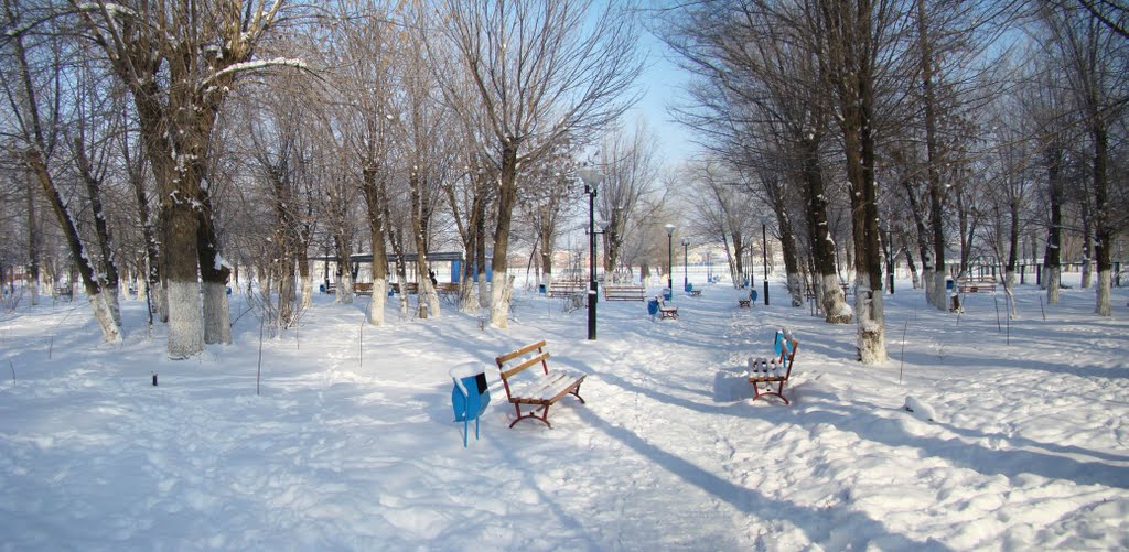 2011 - Зимы ждала, ждала природа - Снег выпал только в январе ...