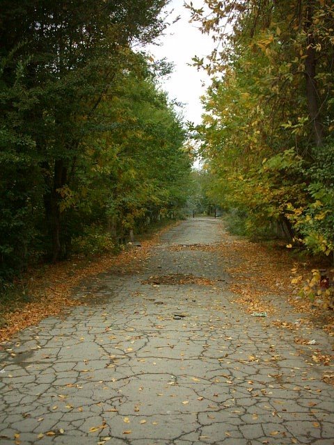Park