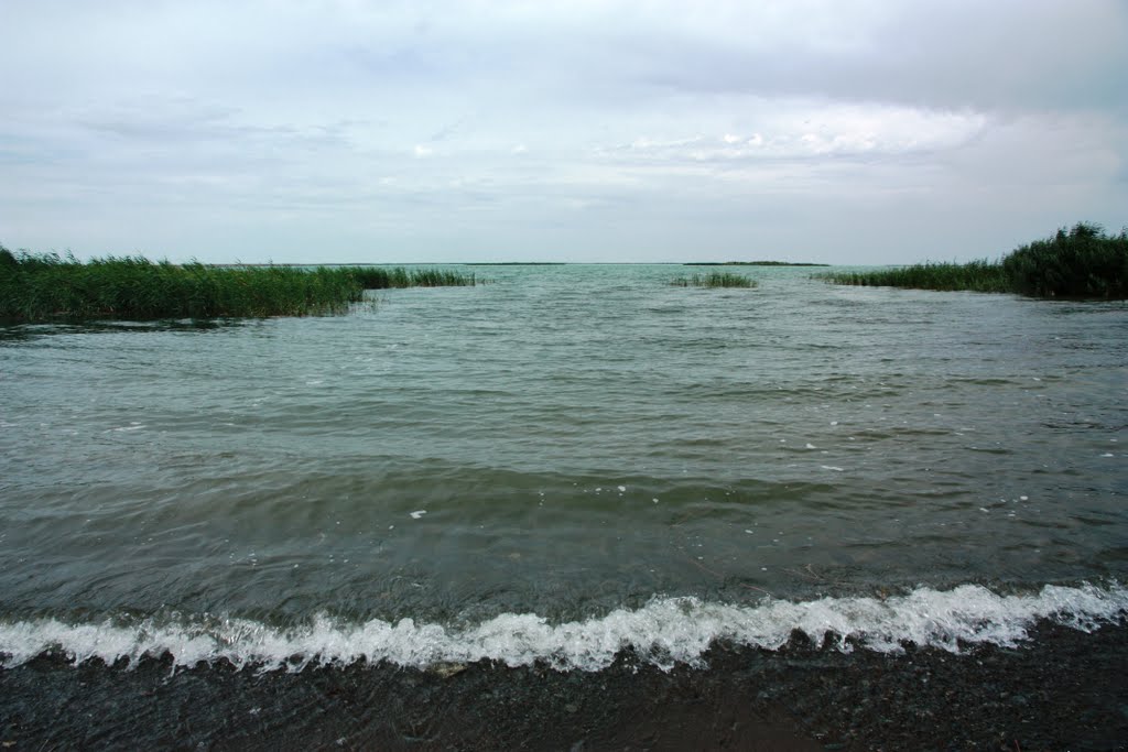 Bay  Бухта